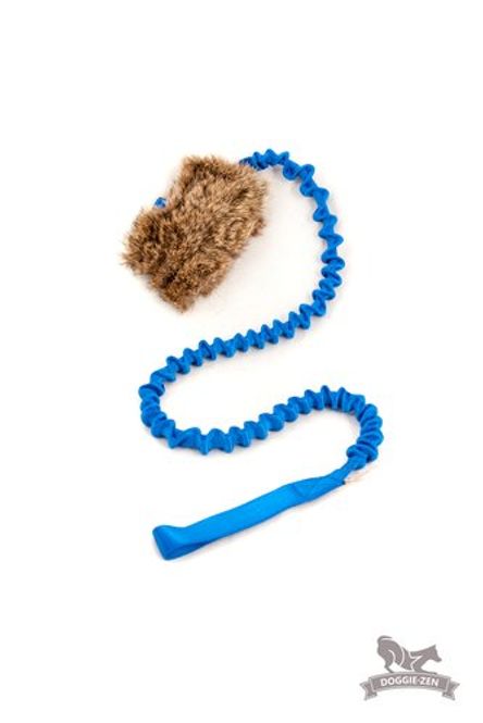 Hovedbilde Elastisk belöningsjagarkampis kaninskinn M