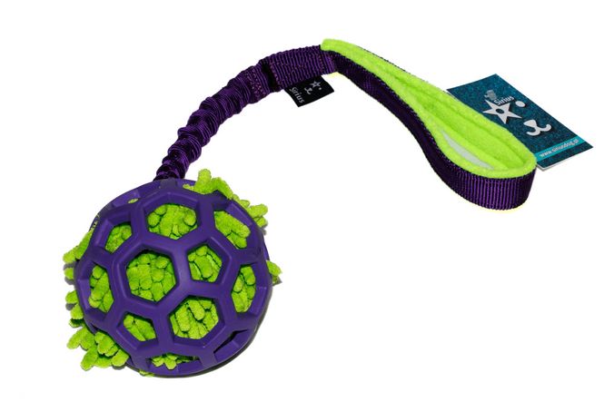 Hovedbilde Hol-ee roller M med mopp