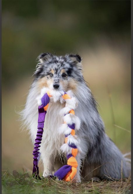 Hovedbilde Elastisk fleece- og kaninflette