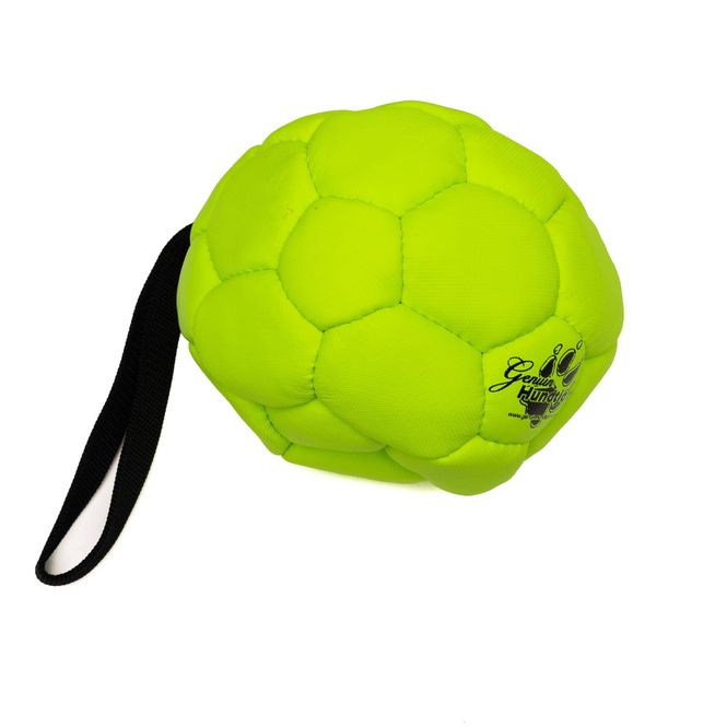 Hovedbilde Genuin ballen som kan pumpes opp ca 140 mm