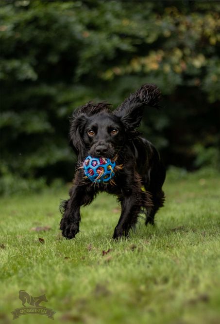 Hovedbilde Hjortepip till Hol-ee-leksaker str S