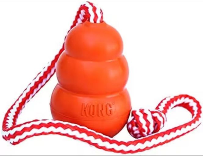 Hovedbilde KONG Aqua M 
