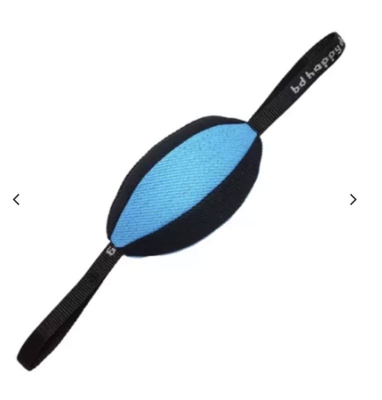 Nylcot rugby 20 x 15 cm 