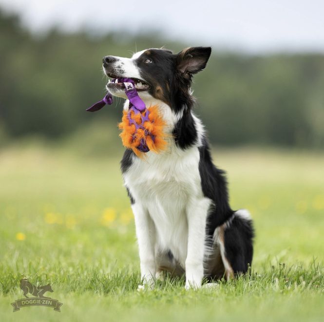 Hovedbilde Elastisk knutekampis med Hol-ee Football str S  + ...