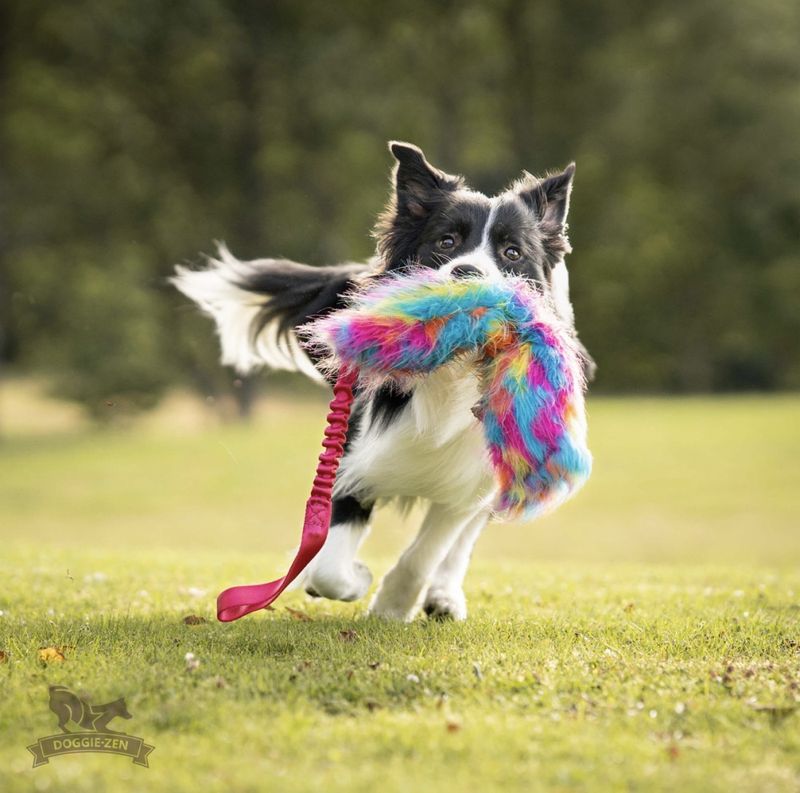 Elastisk knitrekampis